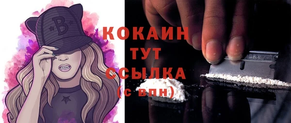 прущие грибы Белокуриха