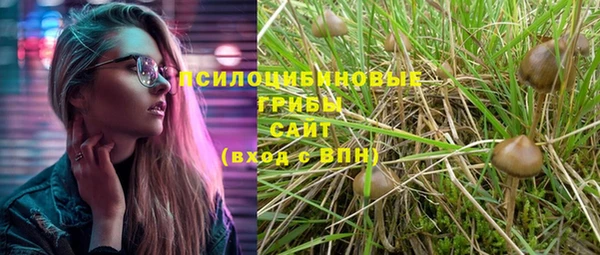apvp Магас