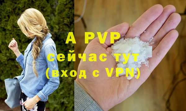 шишки Новокубанск