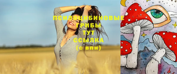 apvp Магас