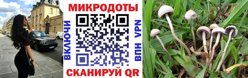 Псилоцибиновые грибы Cubensis  Полысаево 